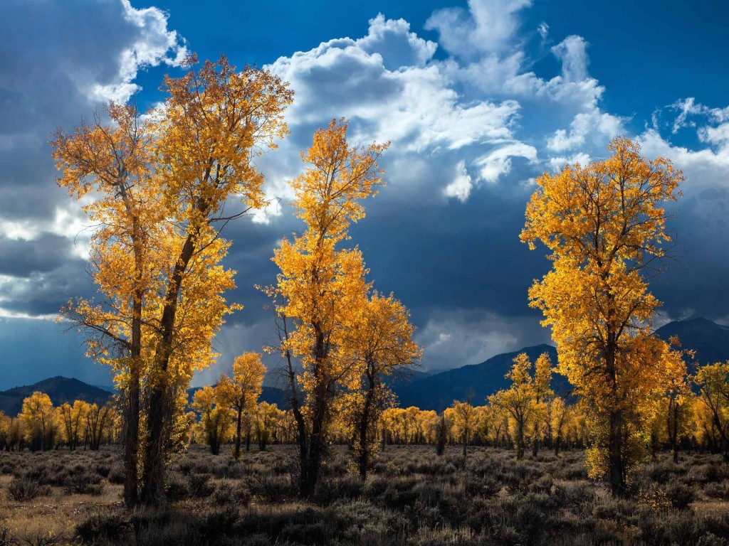 Professional Landscape Photography Nature Landscape Professional Landscape Photography Nature Landscape
