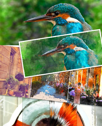 image of a kingfisher