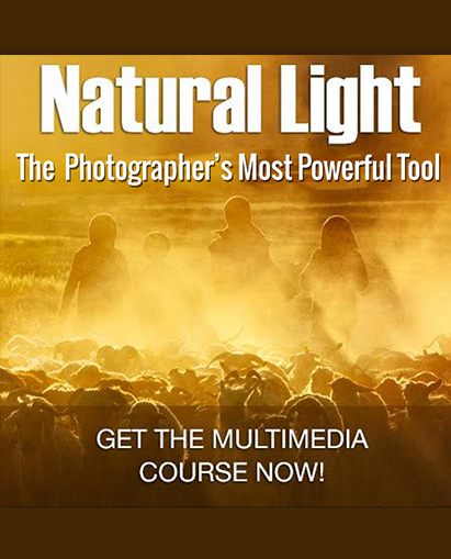 banner of Natural Light Photography: A Comprehensive Multimedia Course