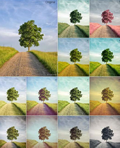 image of a tree with different effects