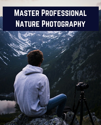 digital nature photography - 2