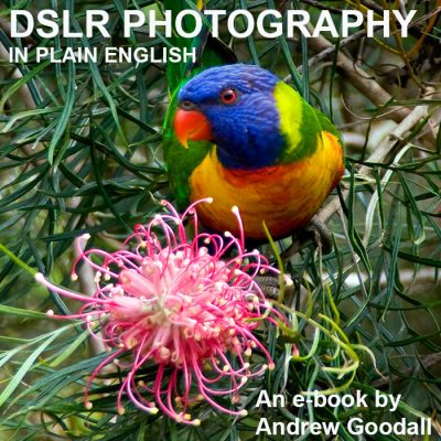 DSLR Photography in Plain English Ebook banner image