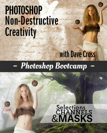 banner of photoshop editing bootcamp