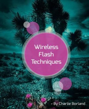 Wireless Flash Techniques image