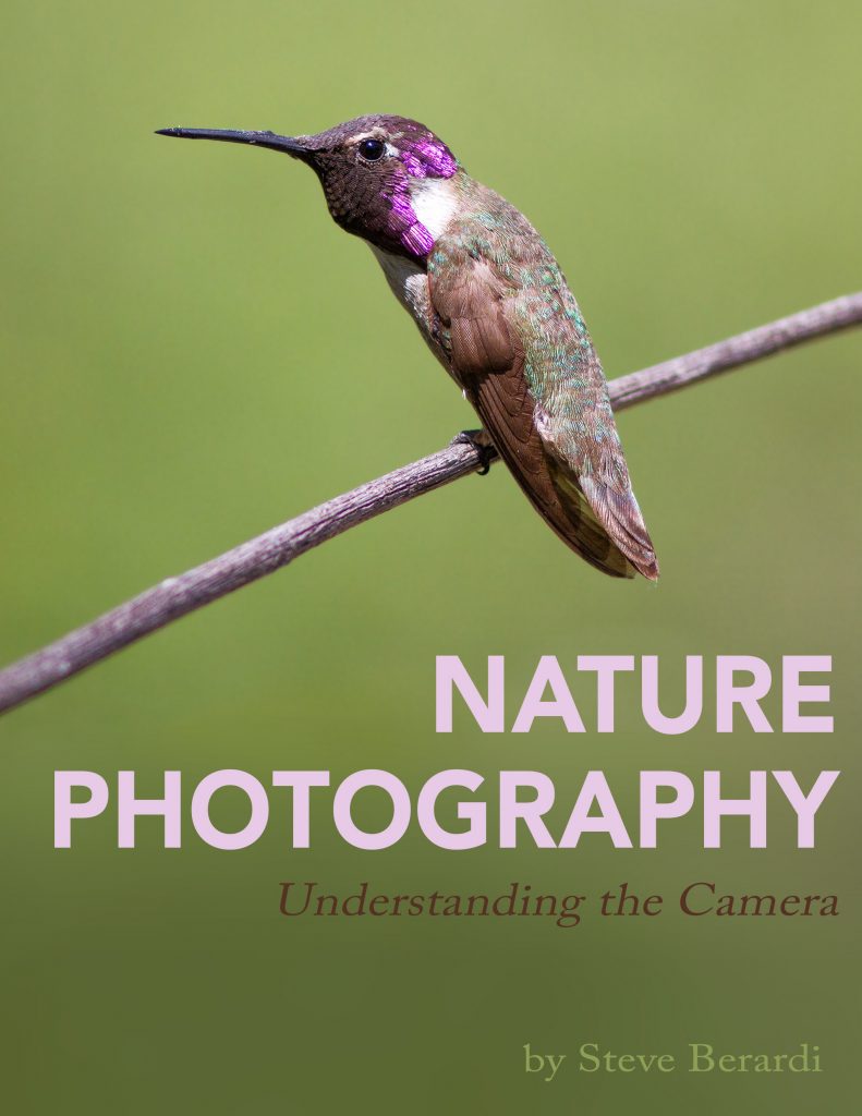 Nature Photography: Understanding The Camera eBook cover image