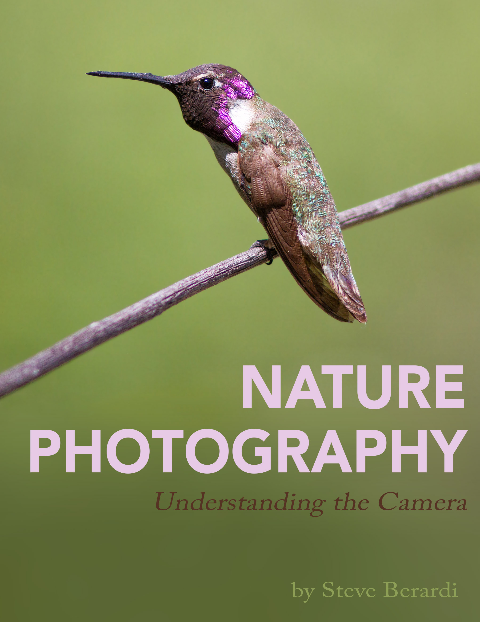 Nature Photography: Understanding The Camera eBook