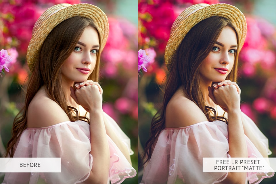 Matte Portrait Presets :B & W