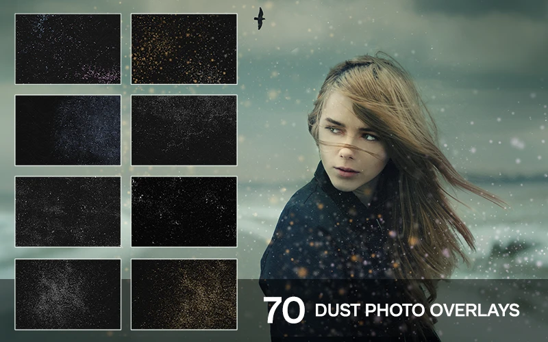 Dust Photo Overlays