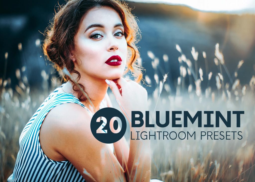 lightroom mobile presets feature bluemint