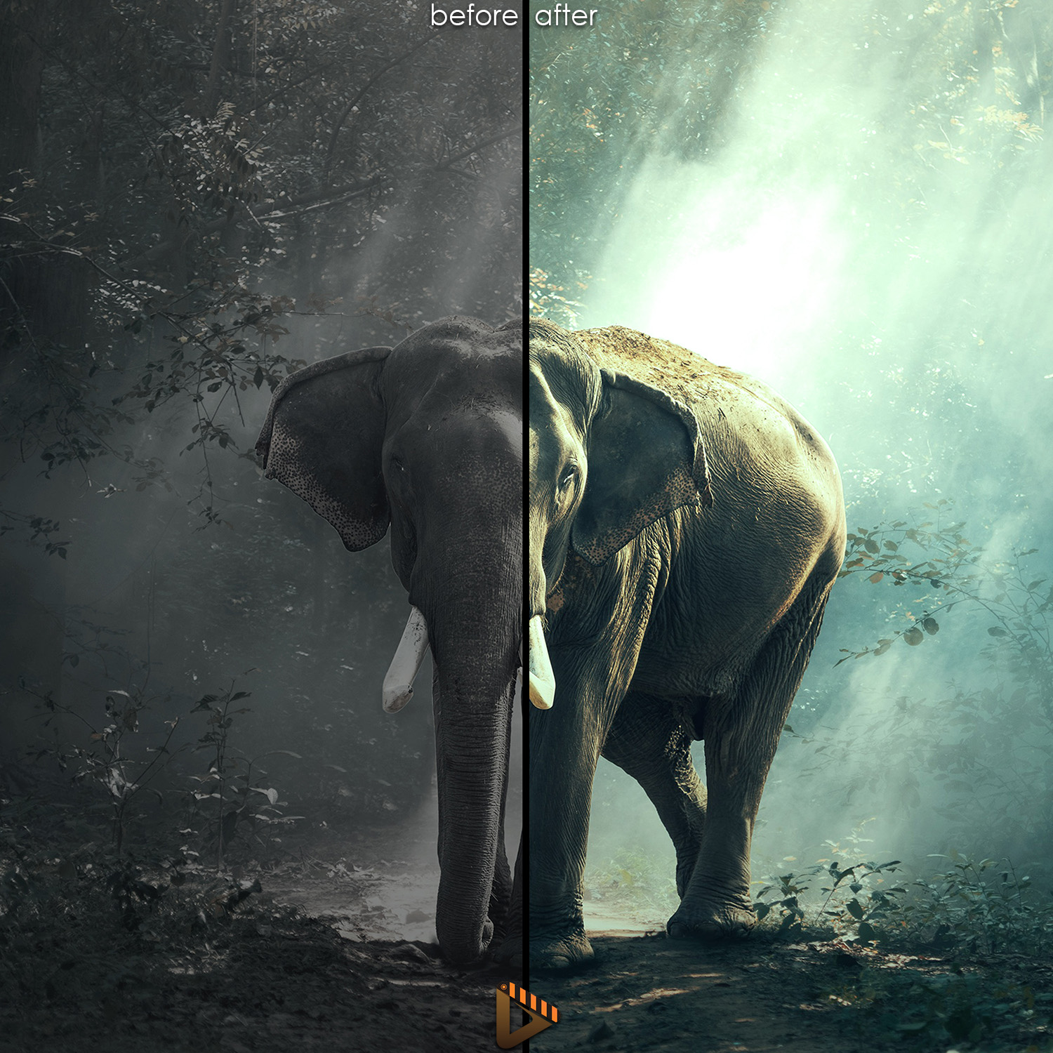 affinity presets elephant