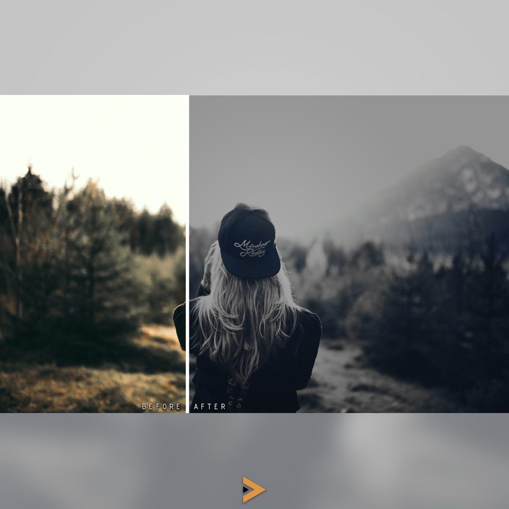 luminar presets dark