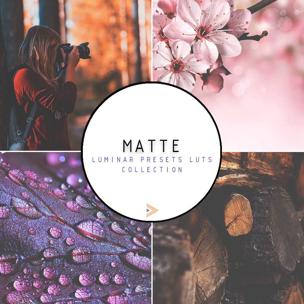 luminar neo presets