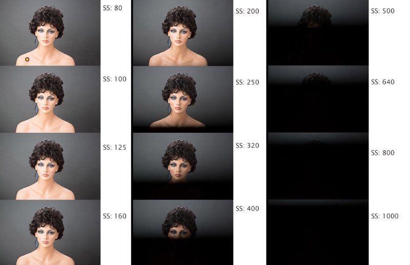 The Anatomy Of Studio Portraits image