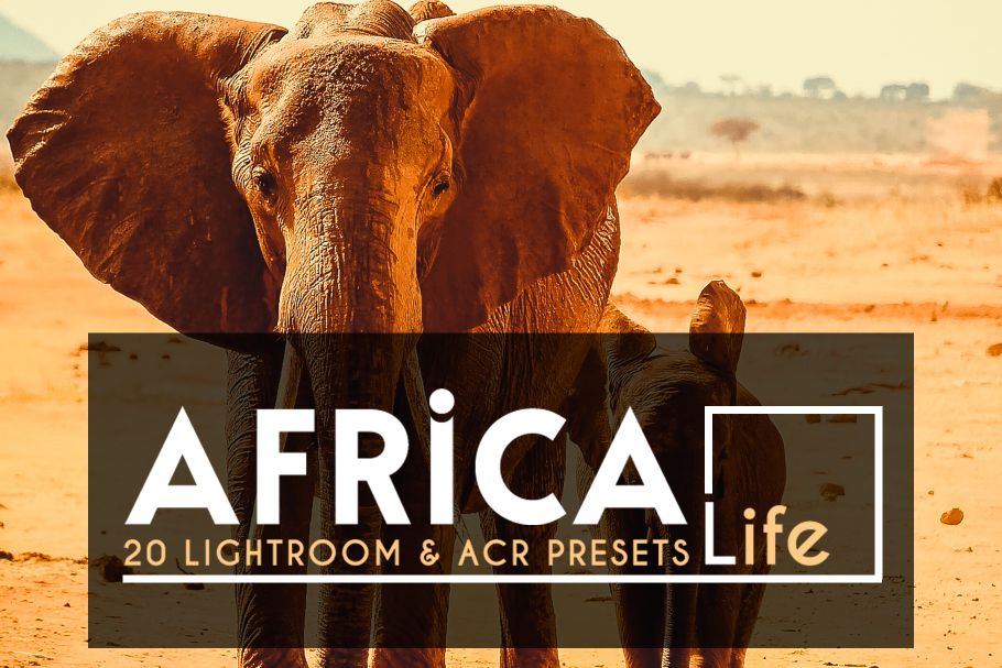 amazing lightroom presets africa