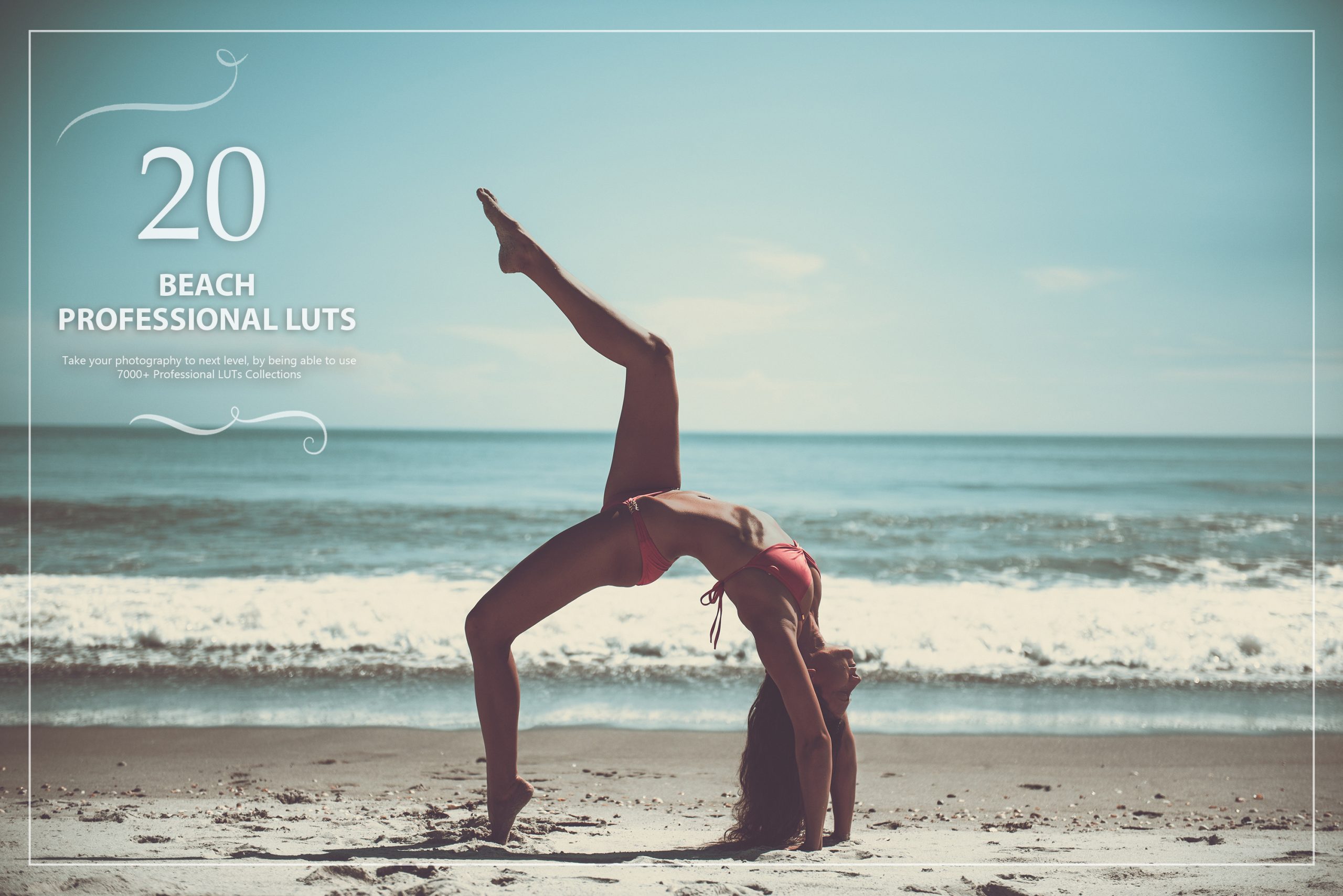 photoshop LUTs category