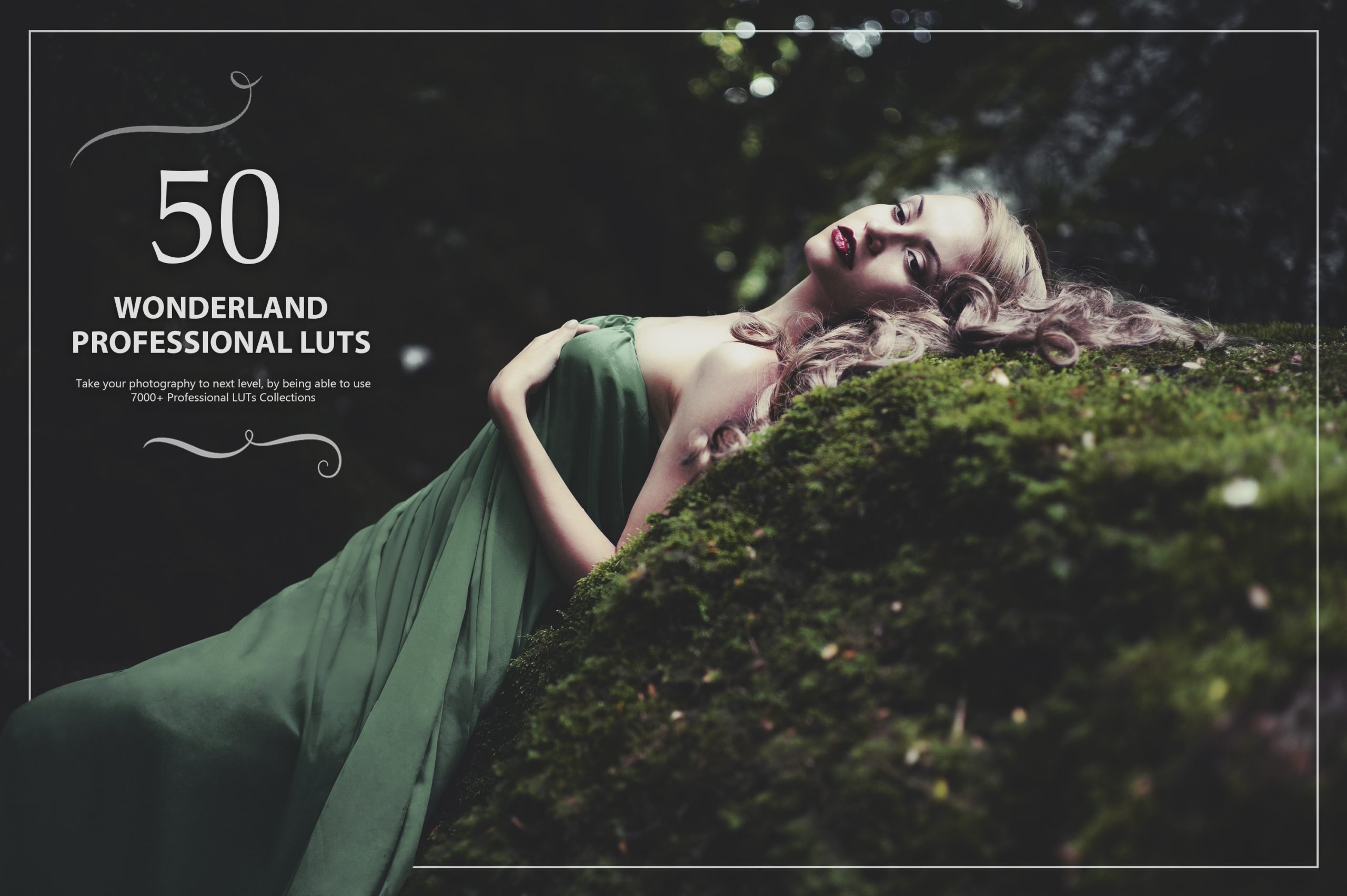 Photoshop LUTs category