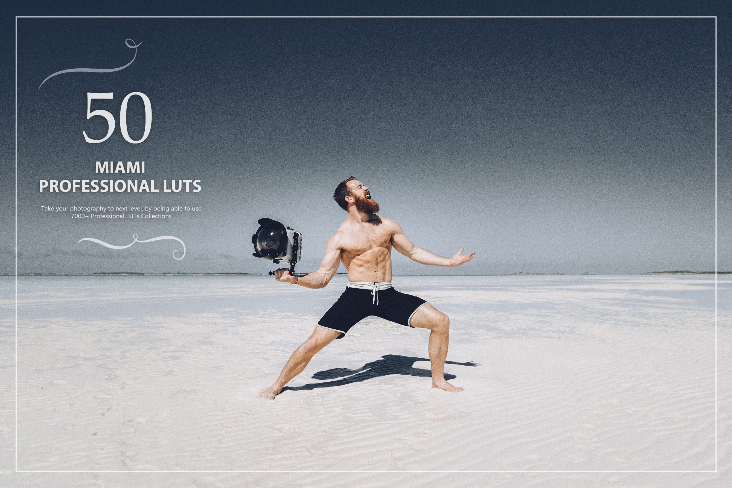 photoshop LUTs category