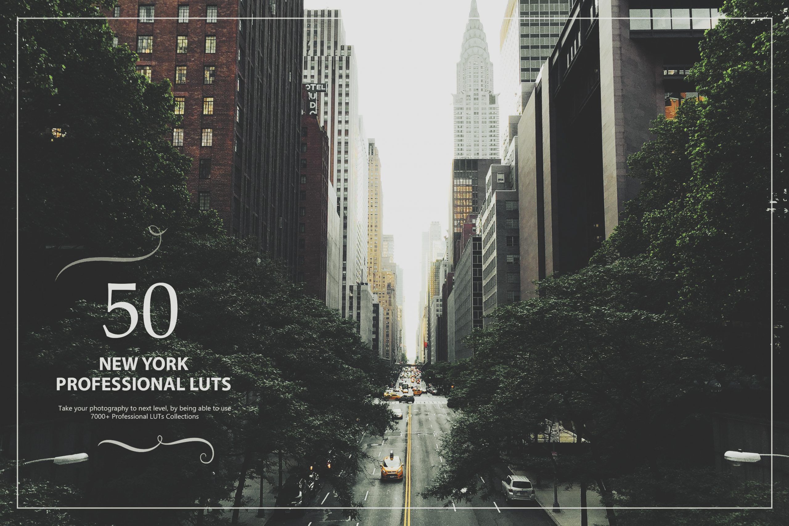 photoshop LUTs category