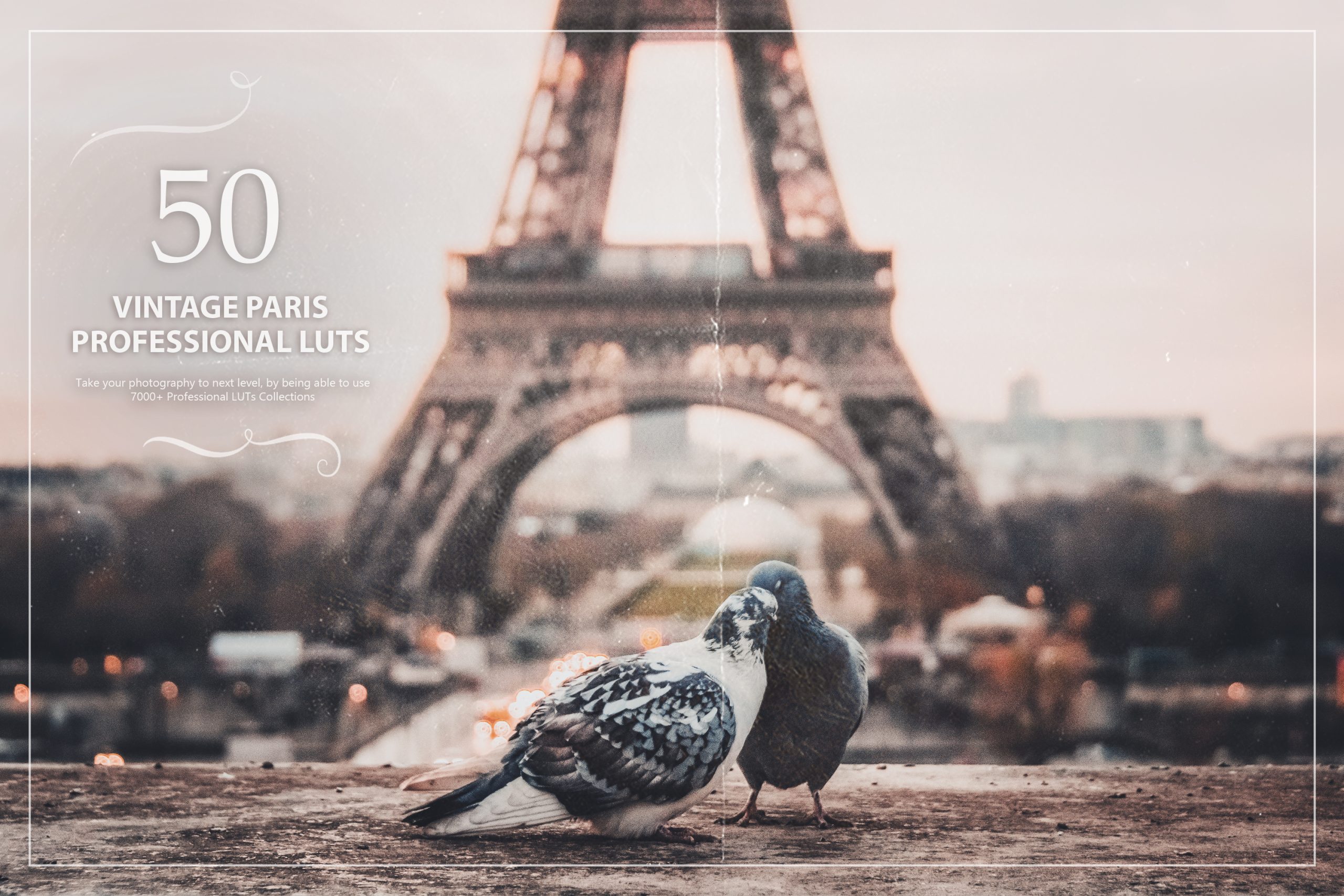 photoshop LUTs category