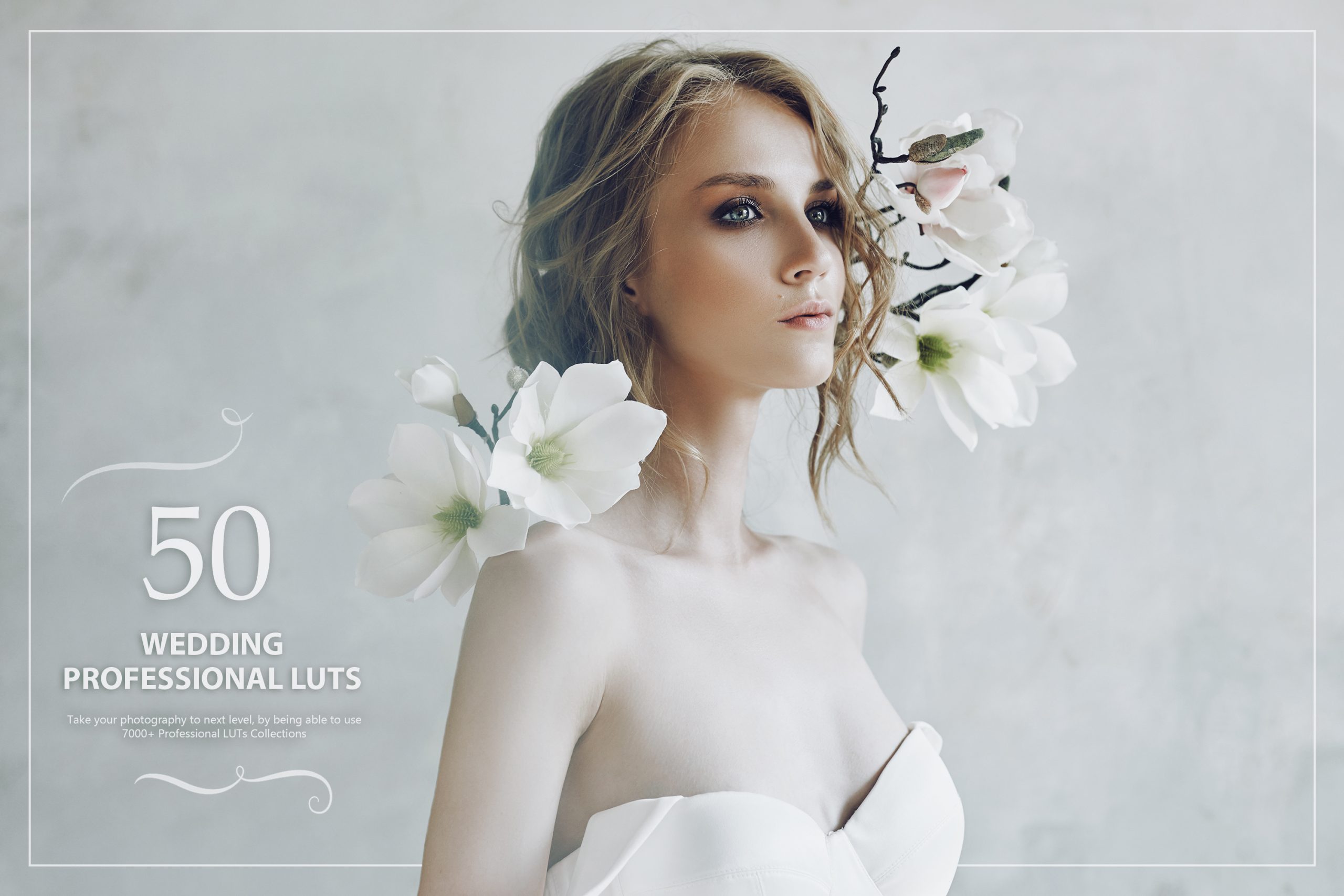 Photoshop LUTs