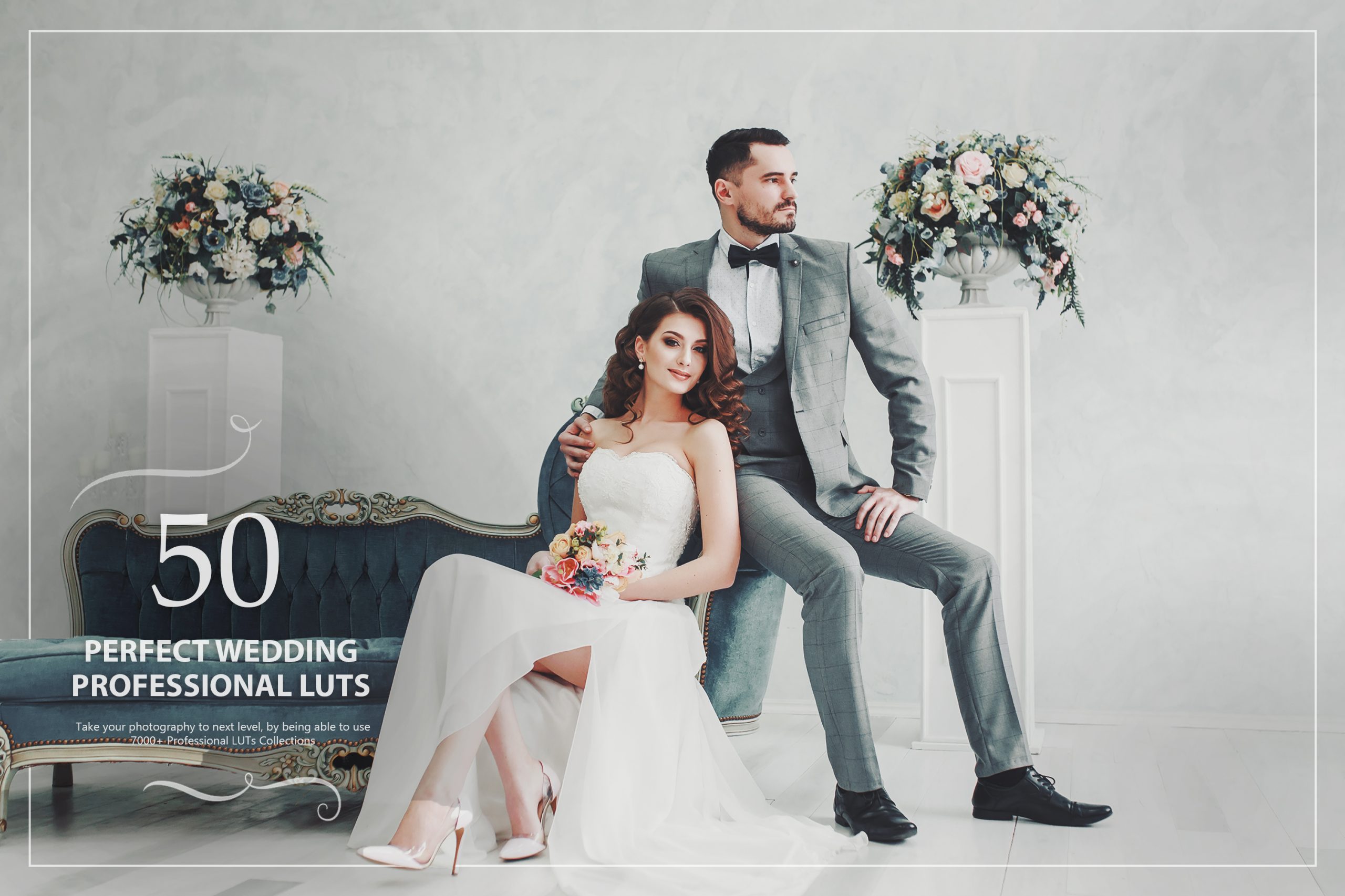 photoshop LUTs category