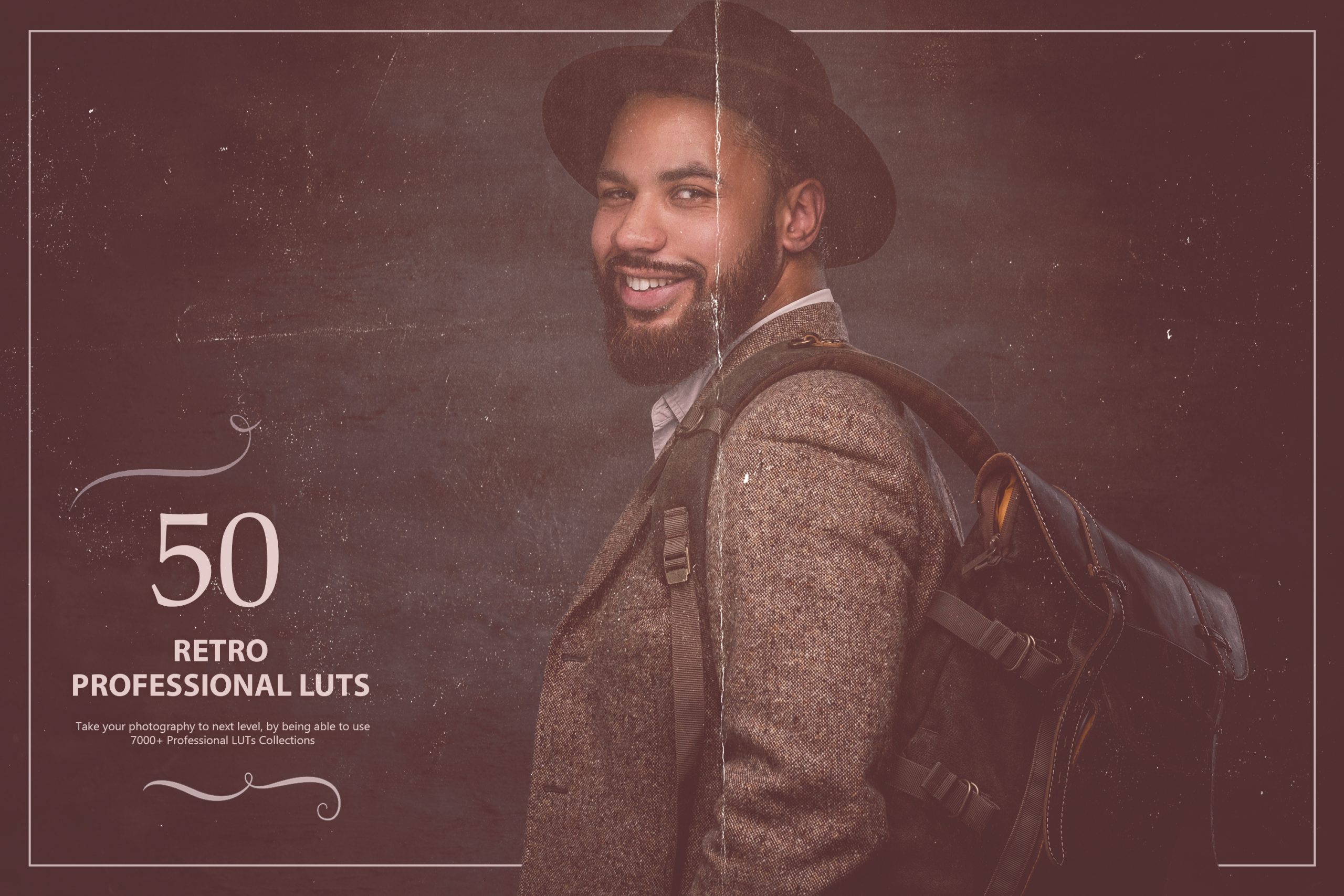 photoshop LUTs category