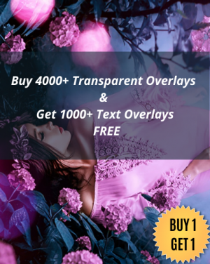 An image with BOGO offer as over text