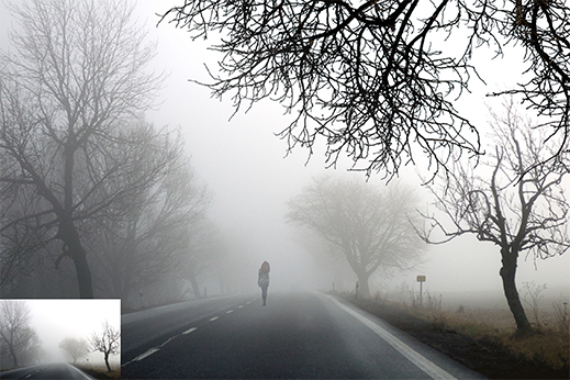 bare trees on a foggy highway