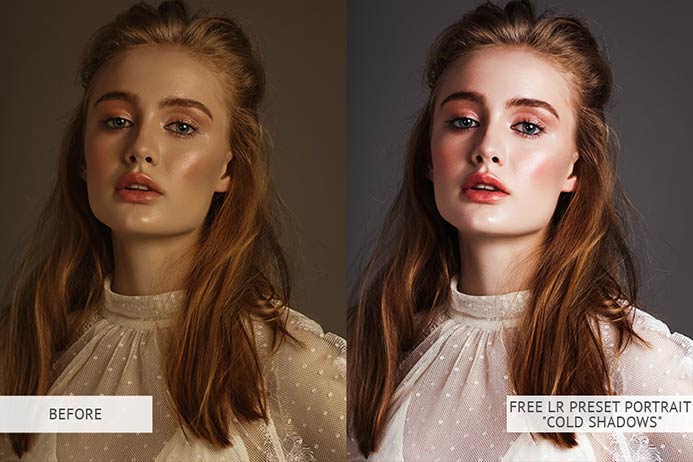 free lightroom presets for portraits free lightroom presets for portraits