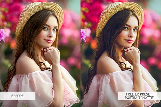 free lightroom presets for portraits mobile free lightroom presets for portraits mobile