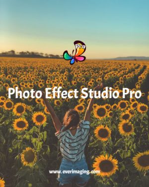 female on a sunflower field with photo effect studio logo and effect applied