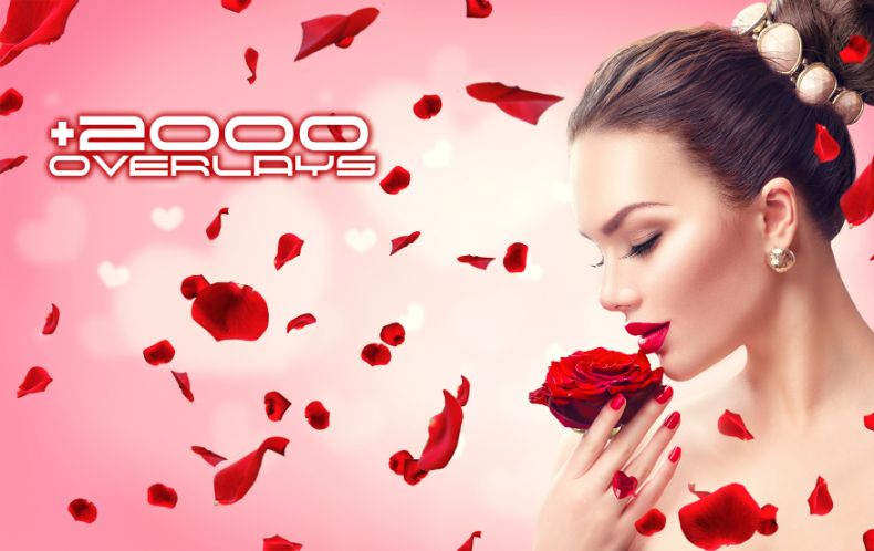girl holding a rose with pink bg and falling rose petals