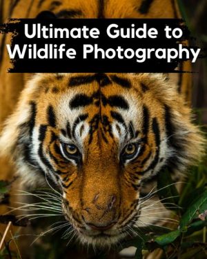 Wildlife Photography Course