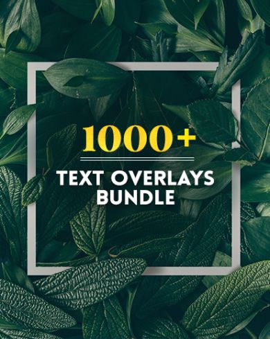 green leaves background with bundle title overlay