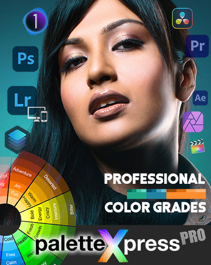 model portrait with brand logos palettexpress pro color grades cover