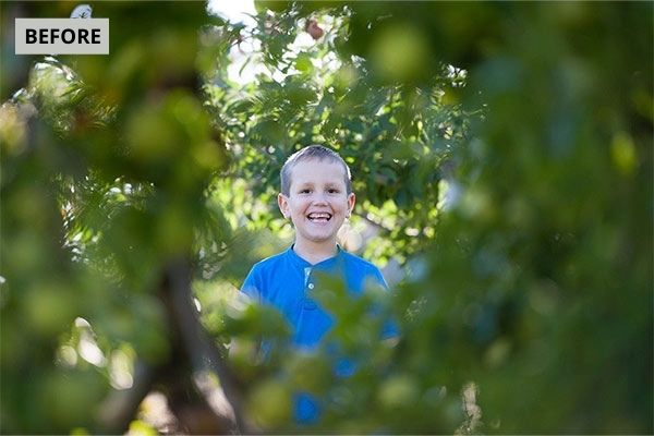 a happy boy standing amidst trees