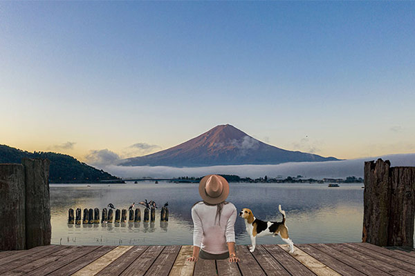 a woman enjoying a scenic view sitting on the deck with a dog