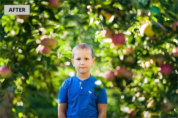 lightroom editing done on a boys portrait
