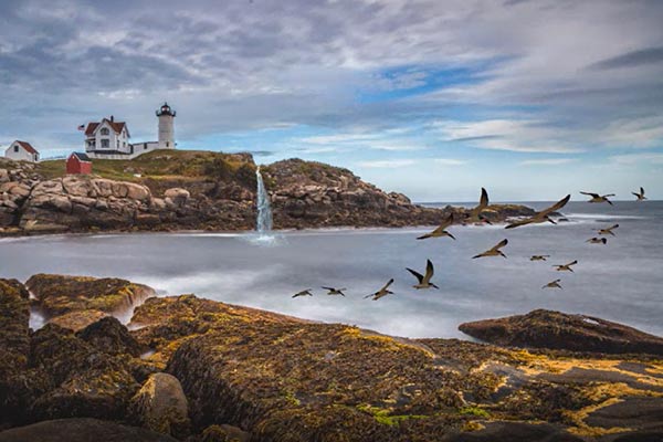 A scenery image of houses, birds, rocks and waterfall