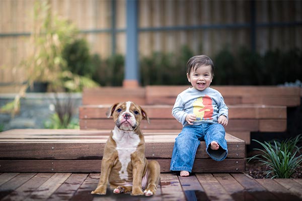 An image of a toddler sitting next to a dog