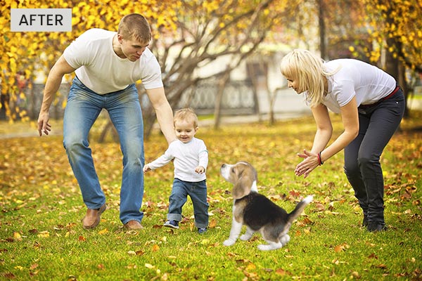 Dog cutout applied on a family picture