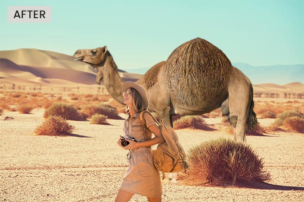 A women tourist with a camel in a desert