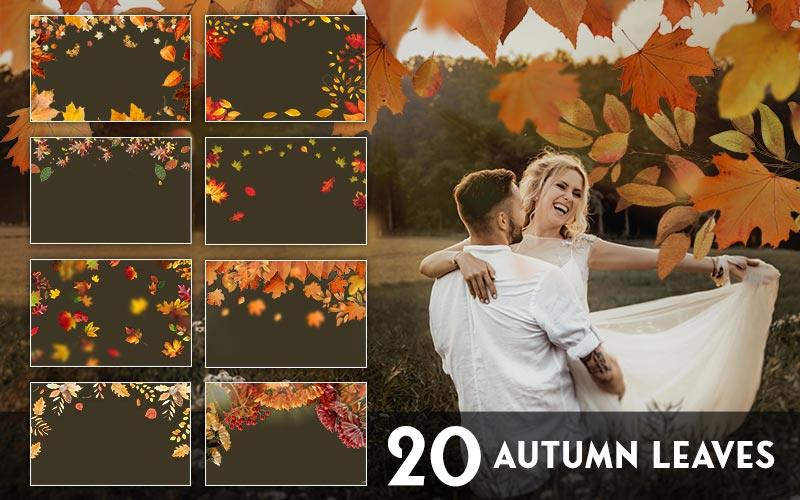 Autumn leave overlays preview