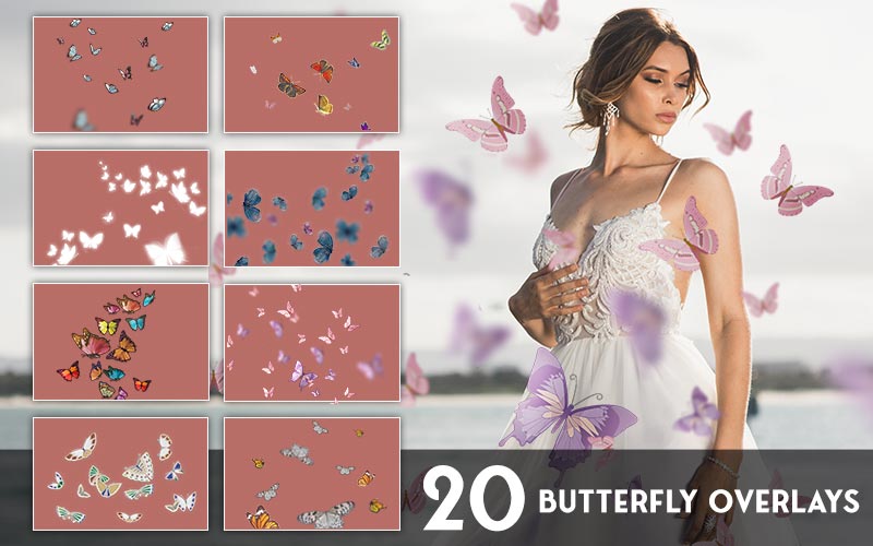 Butterfly overlays preview