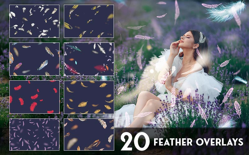 Feather overlays preview