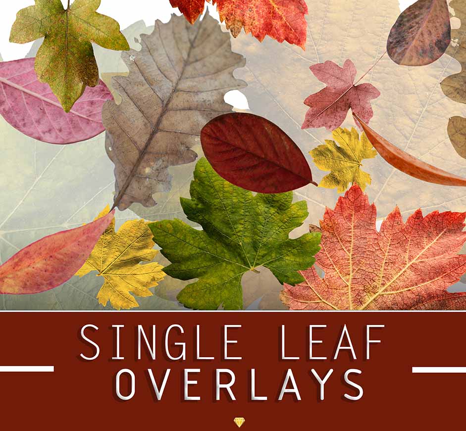 leaf overlays
