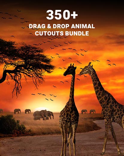 drag and drop animal cutouts