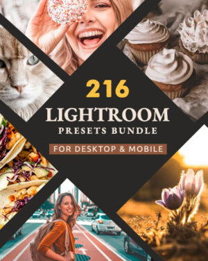216 lightroom presets