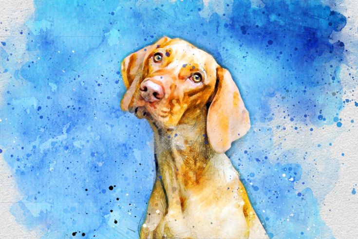 Dog after image photoshop watercolor brushes