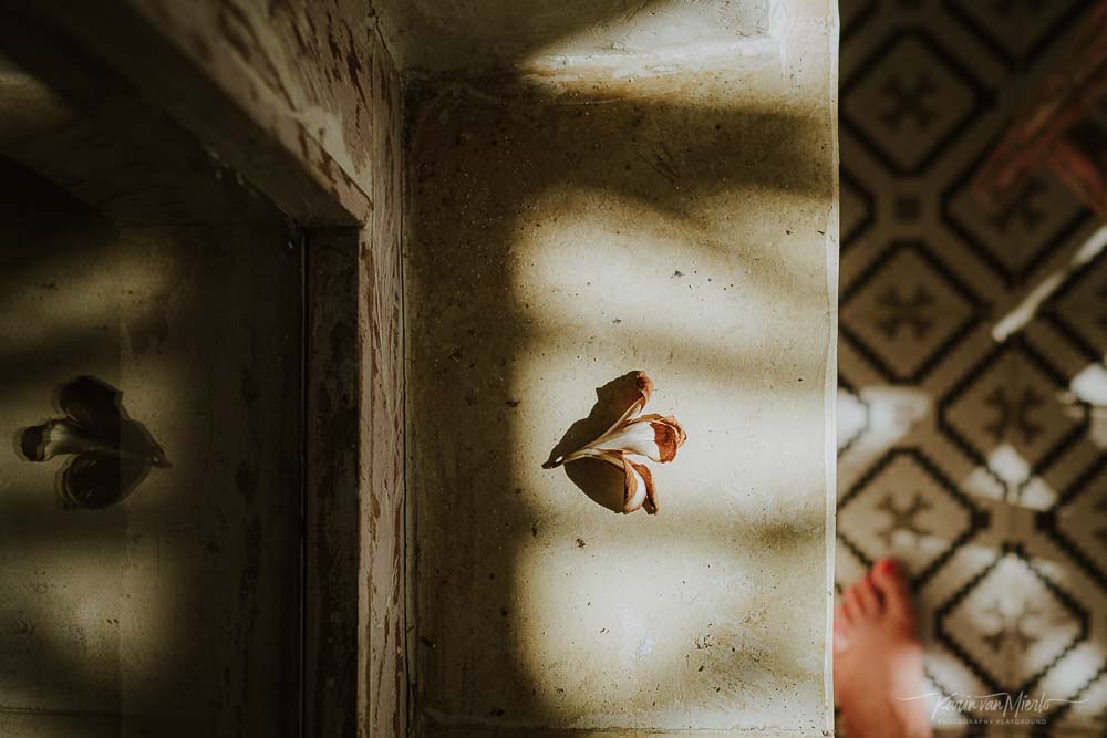 Creativity As Self-Care: 7 Reasons Why Photography Keeps Me Sane (and can do same for you)